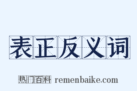 表正反义词是什么意思的图片